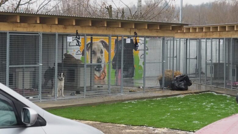 Nowy dom dla czworonogów – „Przystań Sierściucha” w lepszym miejscu