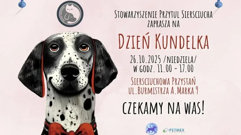 Stowarzyszenie Przytul Sierściucha zaprasza na niedzielne spotkanie z okazji Dnia Kundelka