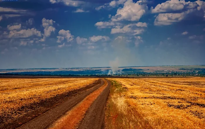 Ruszył nabór wniosków na ochronę gruntów rolnych